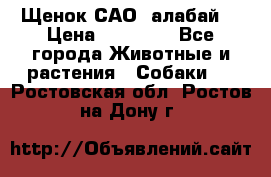 Щенок САО (алабай) › Цена ­ 10 000 - Все города Животные и растения » Собаки   . Ростовская обл.,Ростов-на-Дону г.